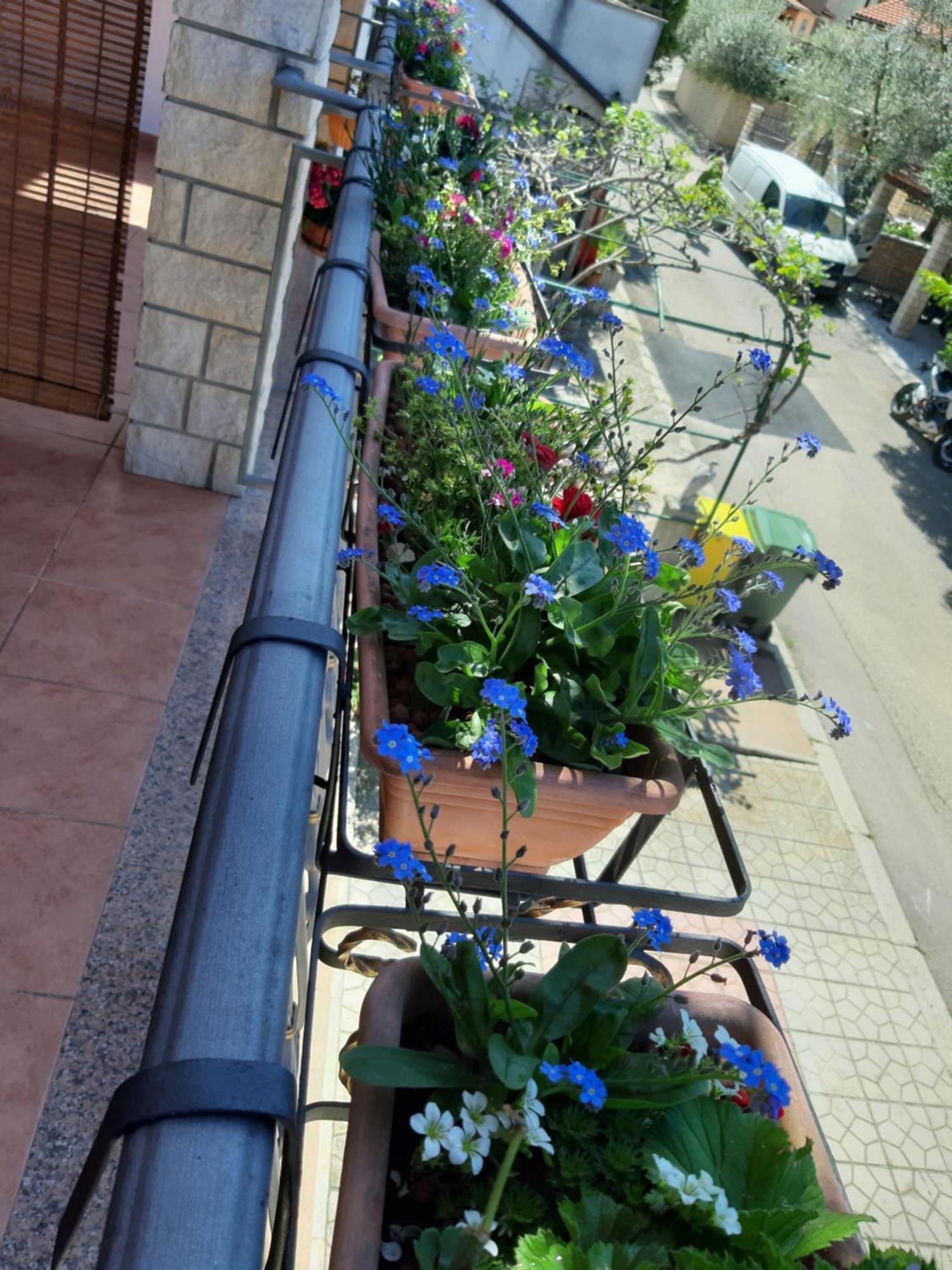Adria Vrsar Appartement Buitenkant foto