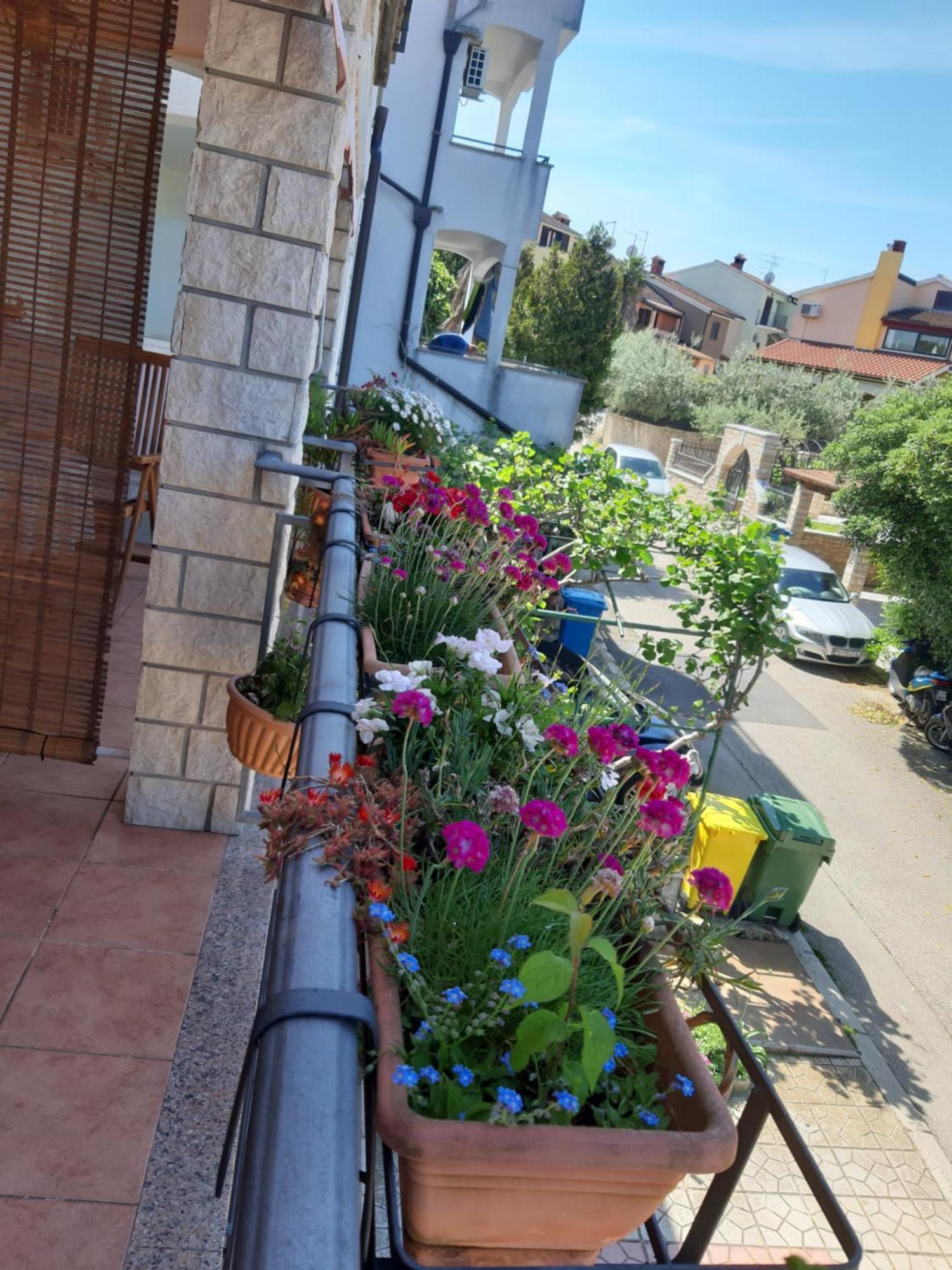Adria Vrsar Appartement Buitenkant foto