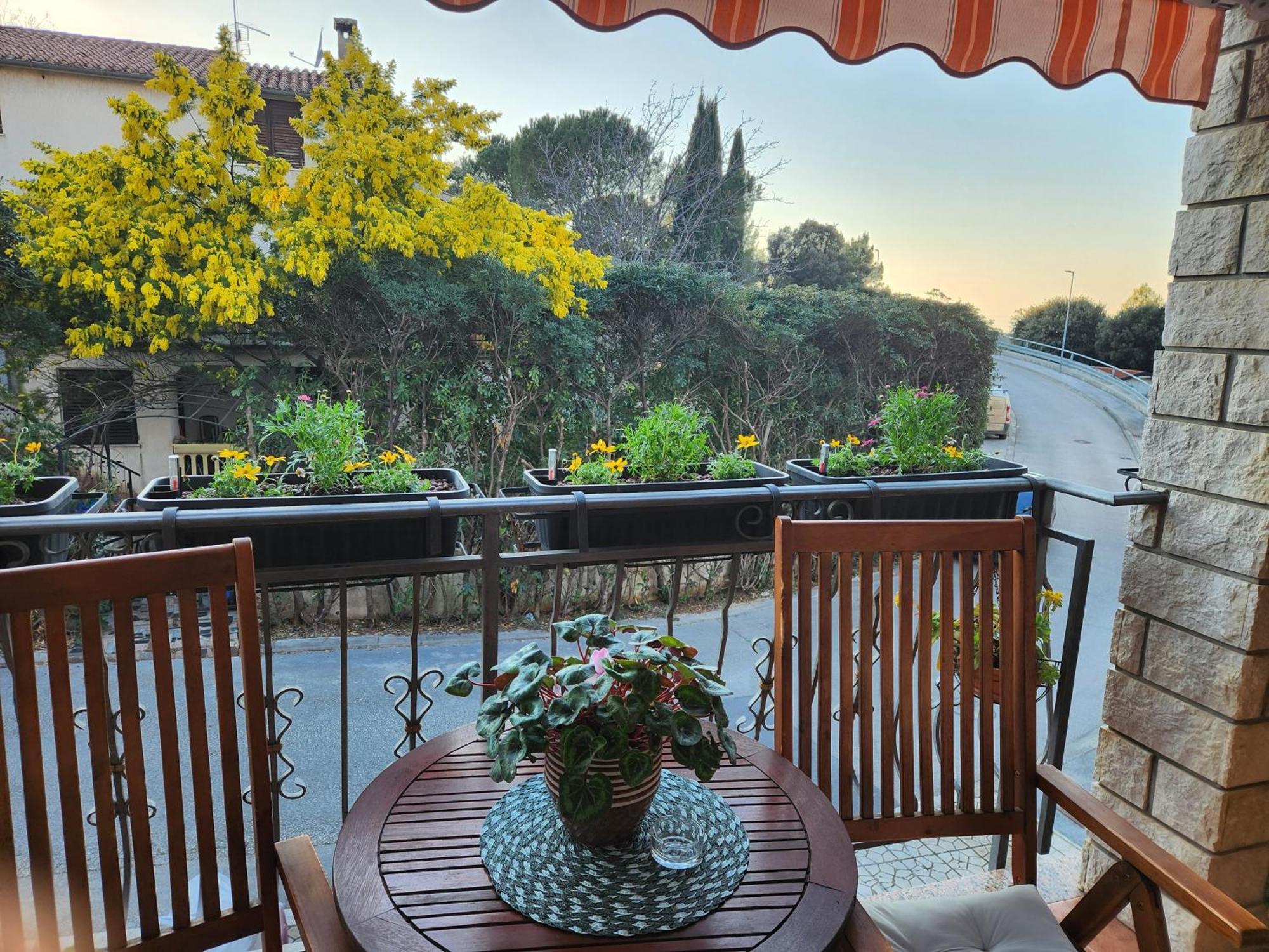 Adria Vrsar Appartement Buitenkant foto